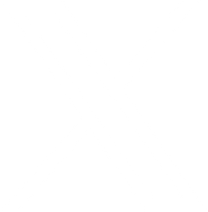 X social media logo
