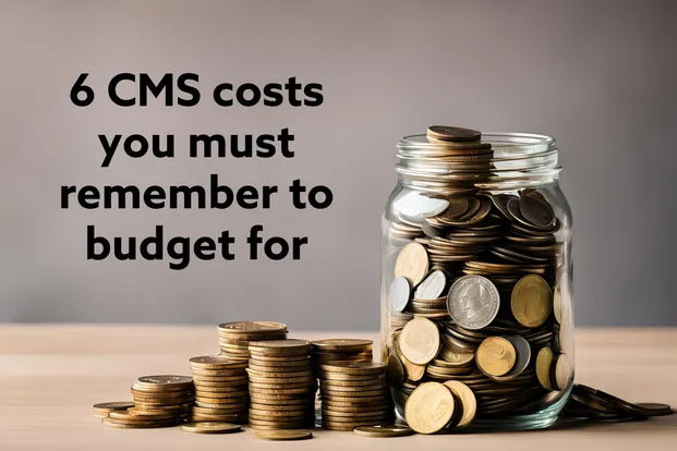 There are hidden costs in the total cost of ownership of a content management system. Don't forget to budget for these six.