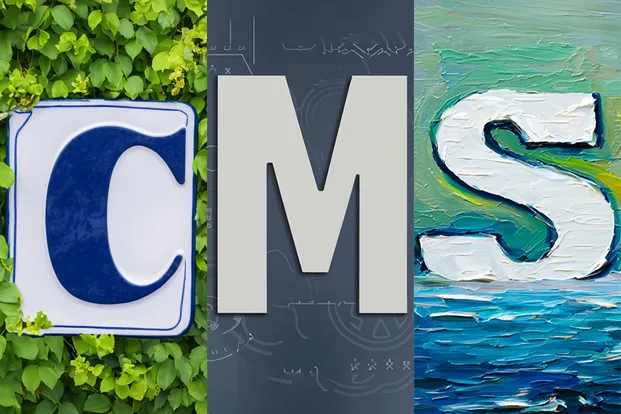 CMS, headless CMS, and everything you need to know about them