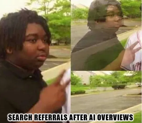 cropped meme for newsletter