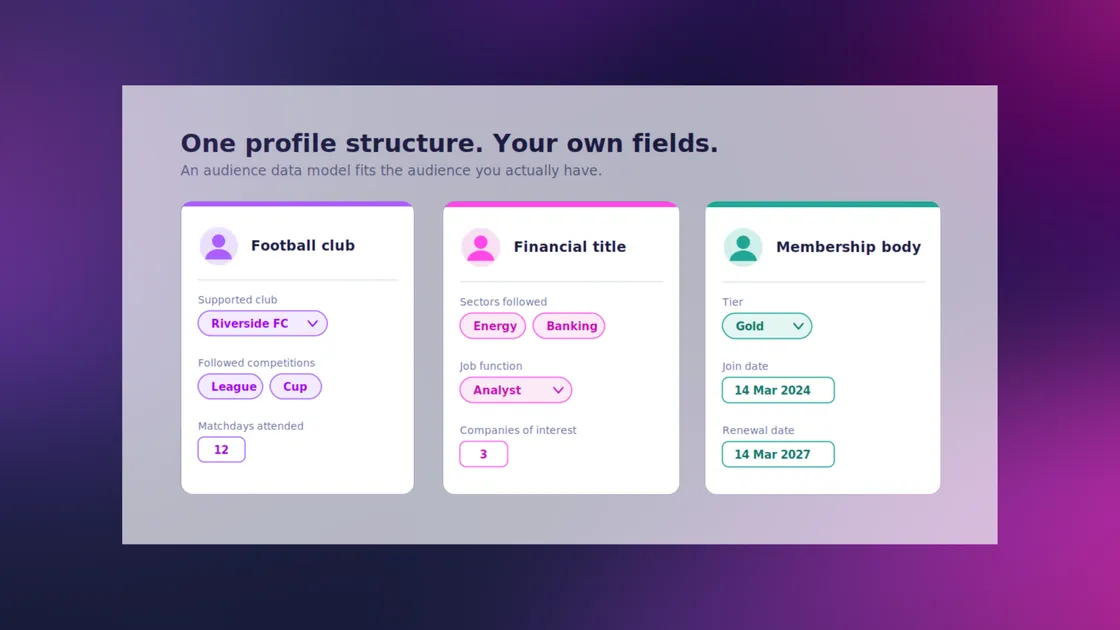 Audience data model: how to design one that fits your audience
